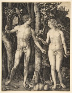 Adam and Eve MET DP815434