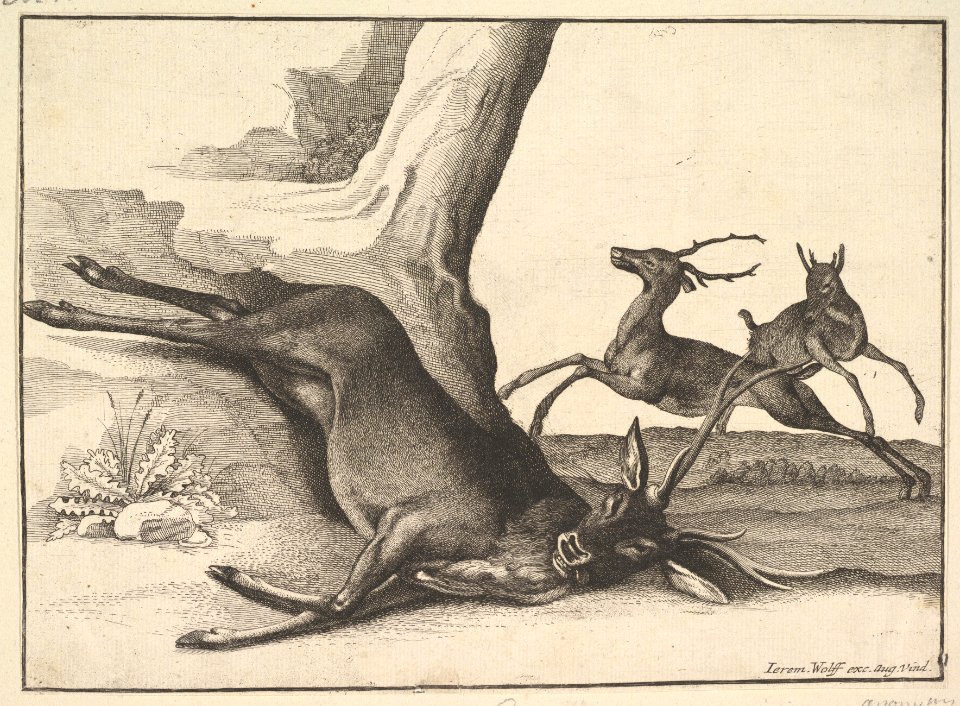 A dead stag, anonymous copy MET DP823975