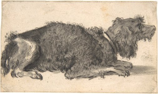 A Dog MET DP800679