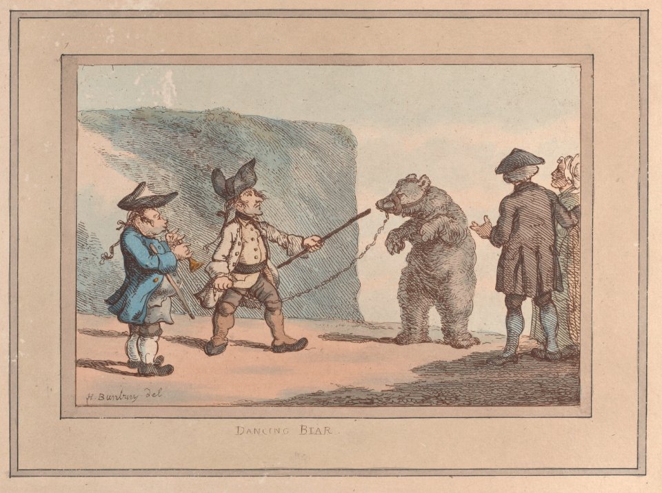 A Dancing Bear Met DP885289
