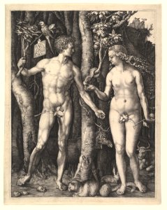 Adam and Eve MET DP820351