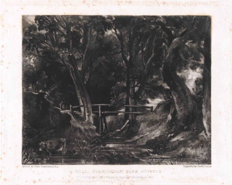 A Dell, Helmingham Park, Suffolk MET DP875112