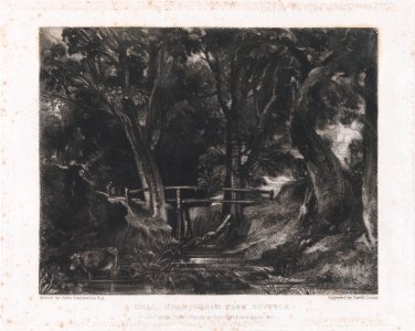 A Dell, Helmingham Park, Suffolk MET DP875112