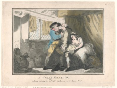 A Cully Pillag'd MET DP871846