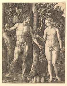 Adam and Eve MET DP820408