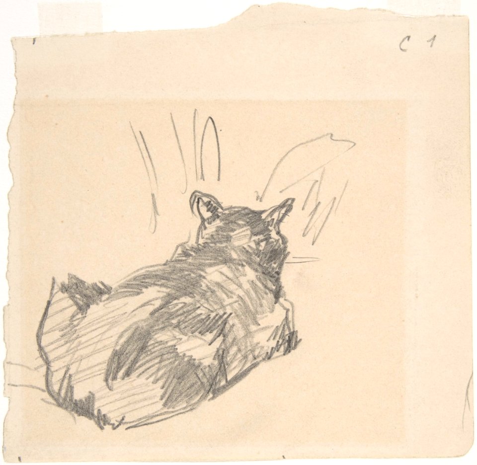A Cat Resting on All Fours, Seen from Behind MET DP807592