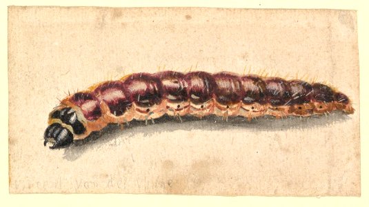 A Caterpillar MET DP820078
