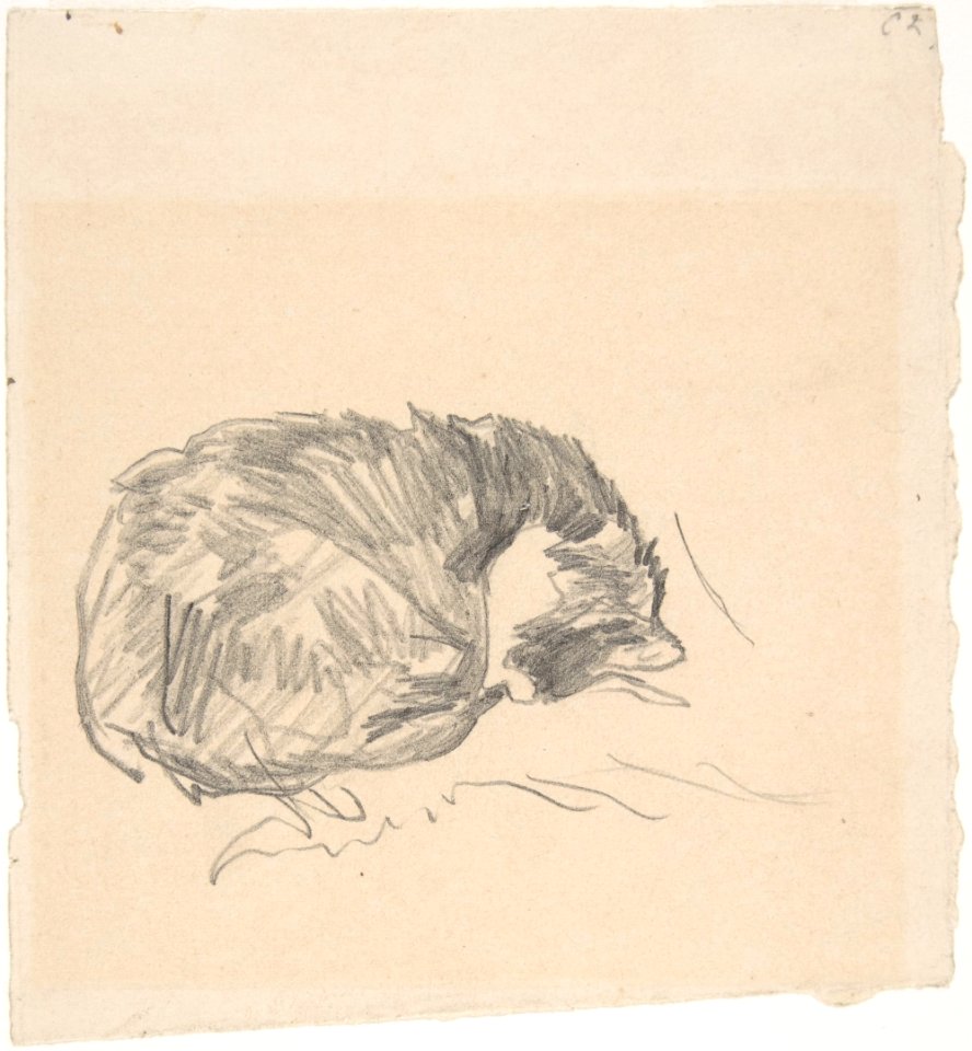 A Cat Curled Up, Sleeping MET DP807593