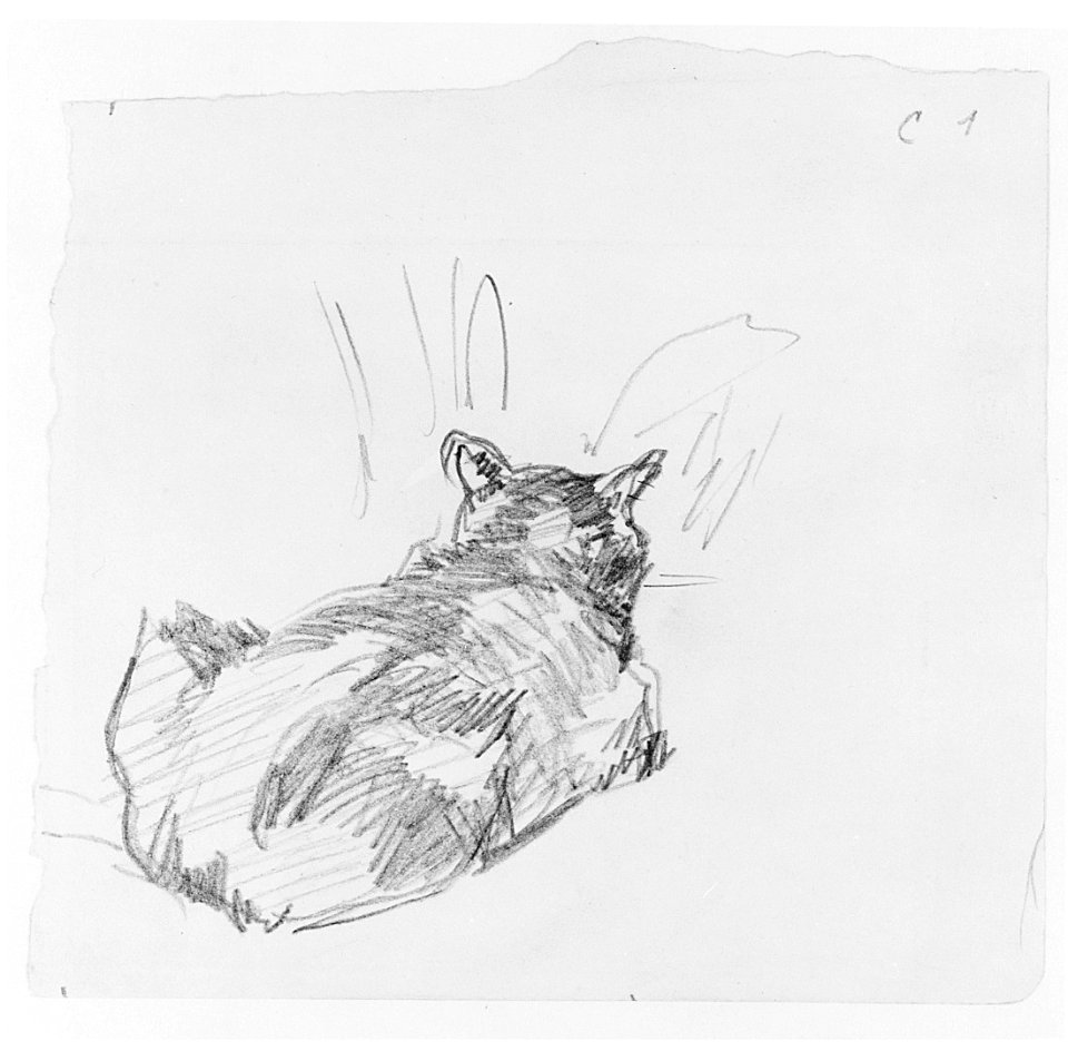 A Cat Resting on All Fours, Seen from Behind MET 260552