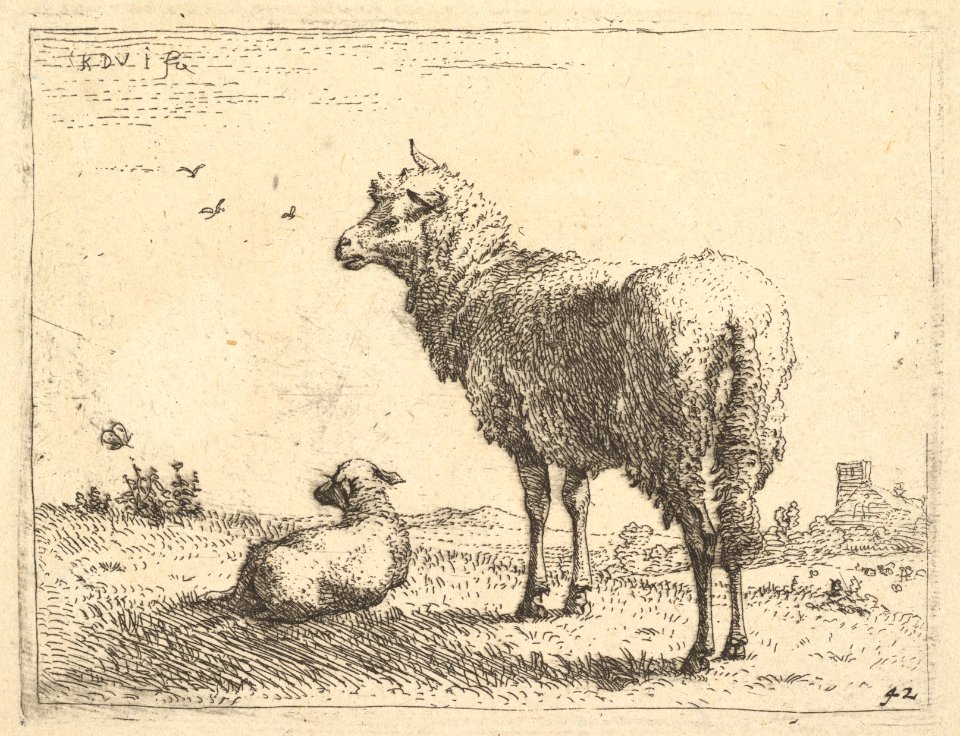A mature sheep in three-quarters view standing and looking left, beside it a lamb lies on the grass MET DP828333