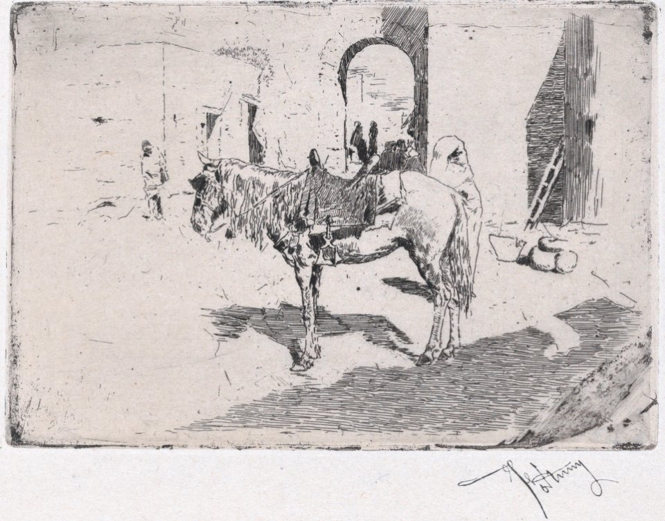 A Moroccan horse standing before an arch MET DP876105
