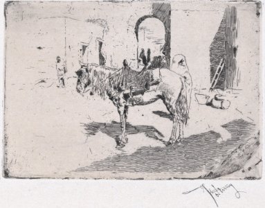 A Moroccan horse standing before an arch MET DP876105