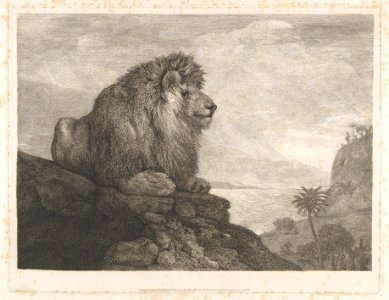 A Lion (A Lion Resting on a Rock) MET DP833337. Free illustration for personal and commercial use.