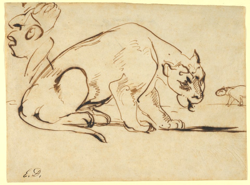 A Lioness and a Caricature of Ingres MET DP850477