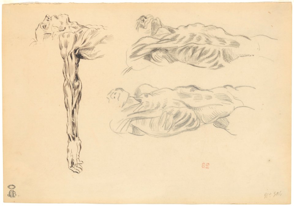 Écorché- Three Studies of a Male Cadaver MET DP217810