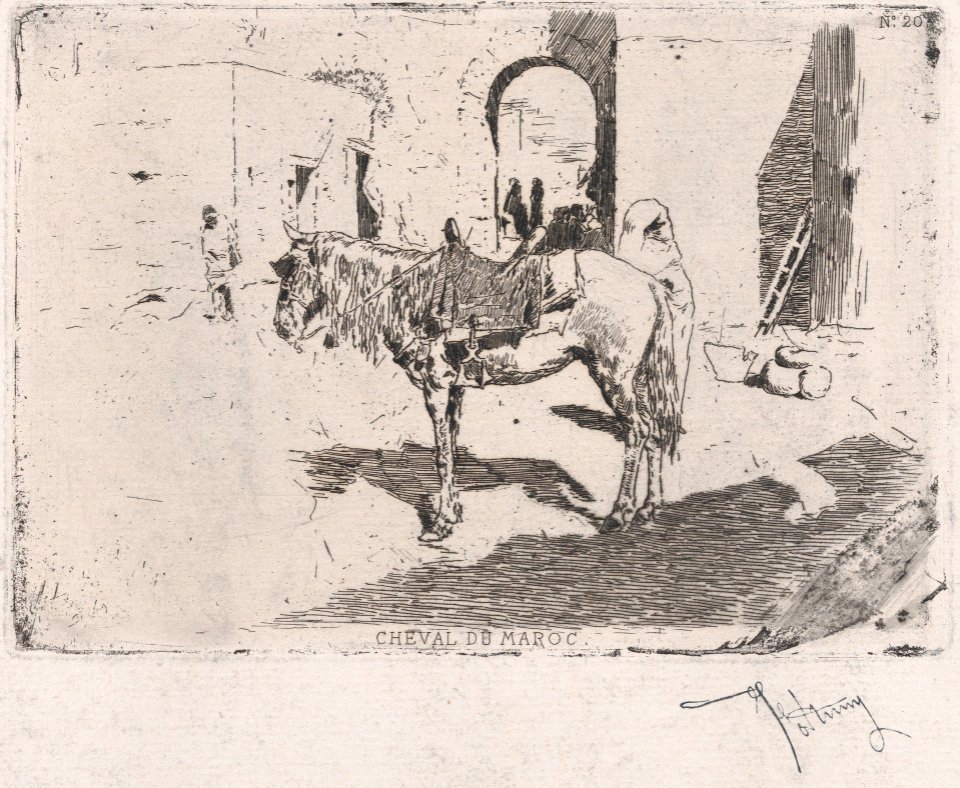 A Moroccan horse standing before an arch MET DP876104