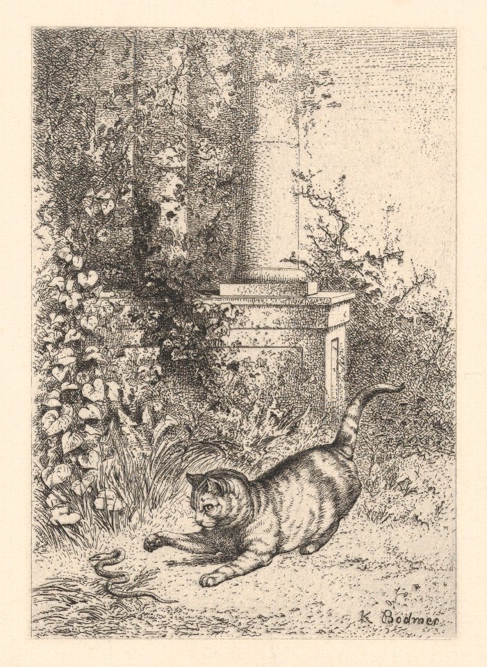 A Domestic Cat Playing with a Garter Snake MET DP874277