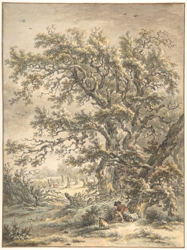 A Man Resting Under a Tree MET DP800196