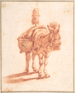 A Donkey MET DP800760