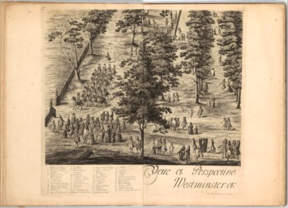 A Prospect of the City of London, Westminster and St. James' Park MET DP268753