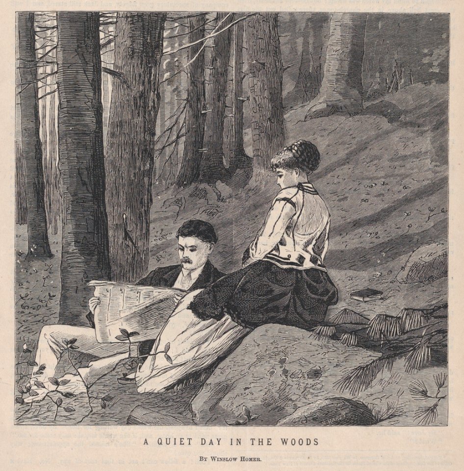 A Quiet Day in the Country (Appleton's Journal, Vol. III) MET DP875260