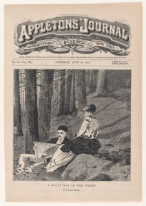 A Quiet Day in the Country (Appleton's Journal, Vol. III) MET DP875236