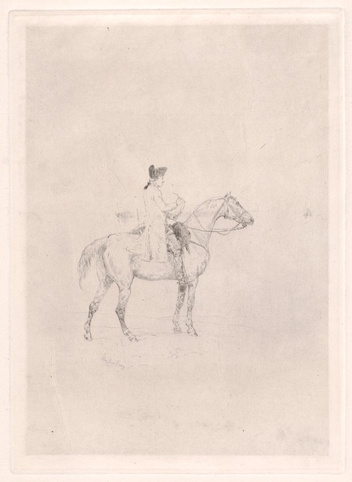 A rider Met DP889010