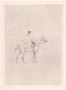 A rider Met DP889010