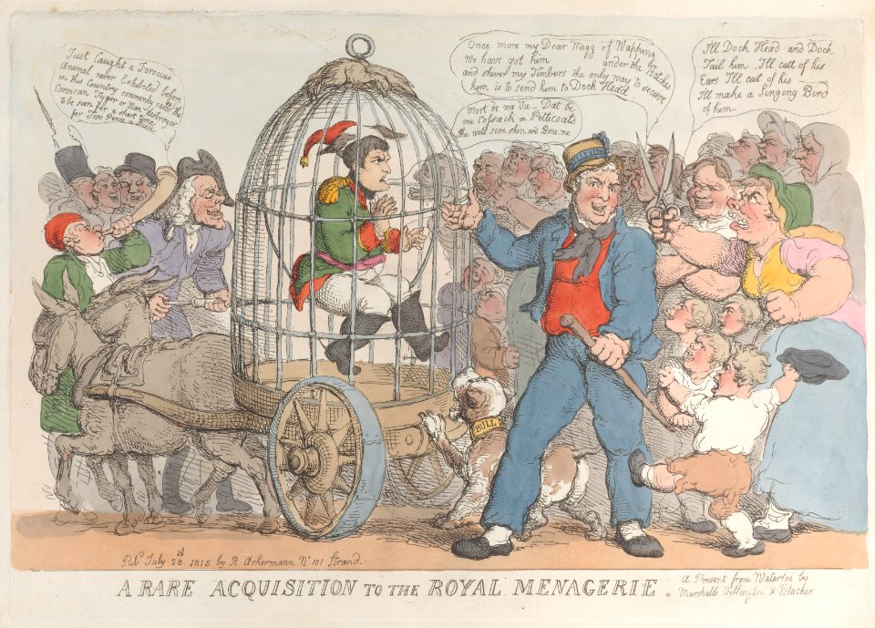 A Rare Acquisition to the Royal Menagerie - MET DP884215