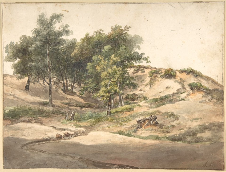 A Wooded Landscape Near Beekhuizen MET DP800685