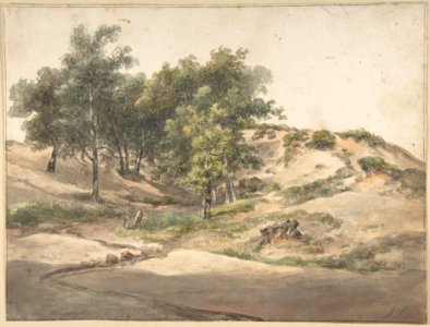 A Wooded Landscape Near Beekhuizen MET DP800685