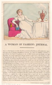 A Woman of Fashion's Journal MET DP873729
