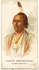 Agate Arrow Point, Warm Springs, from the American Indian Chiefs series (N2) for Allen & Ginter Cigarettes Brands MET DP828042