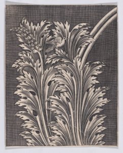 Acanthus Leaves Met DP888683