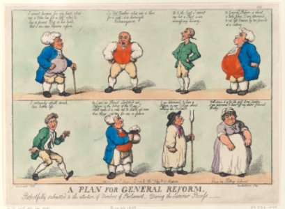 A Plan for General Reform Met DP884739