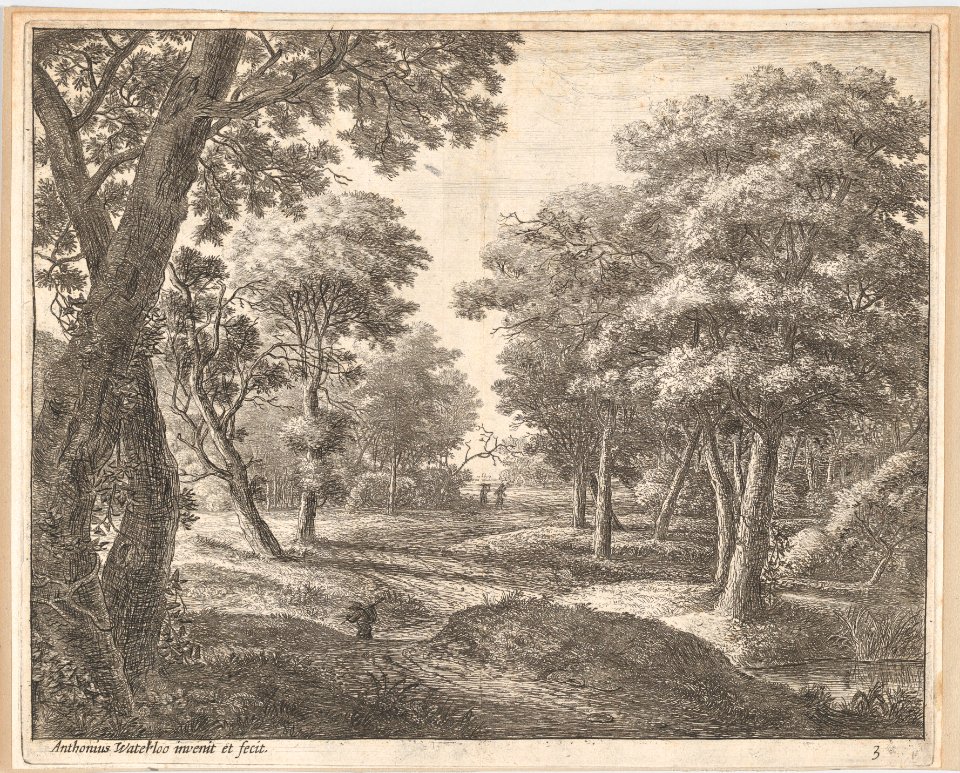 A Path Through the Woods MET DP876267