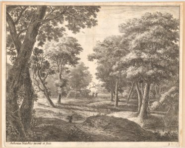 A Path Through the Woods MET DP876267