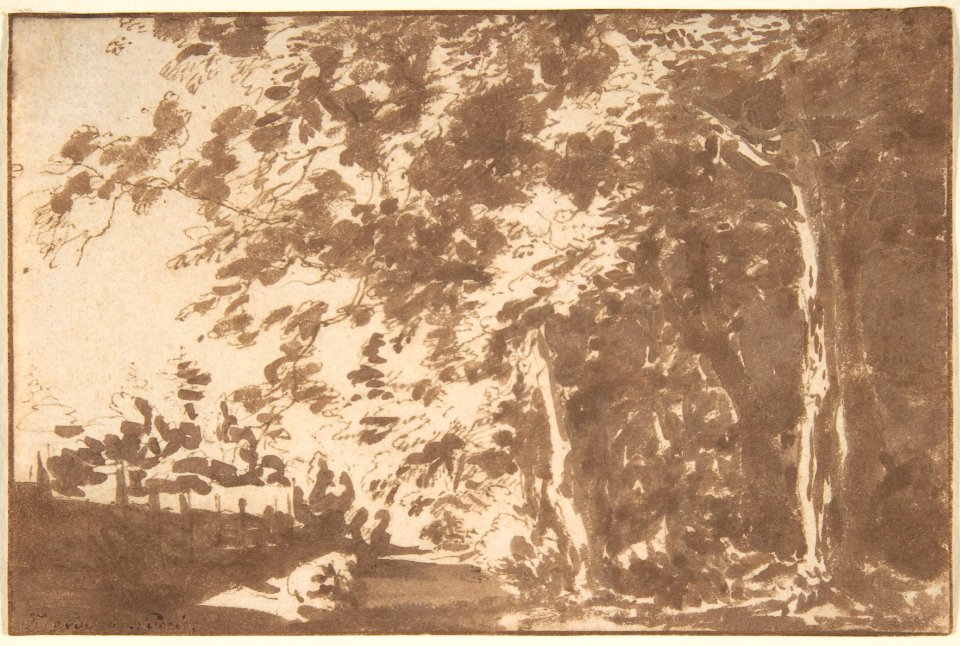 A Path in the "Haagse Bos", The Hague MET DP800110