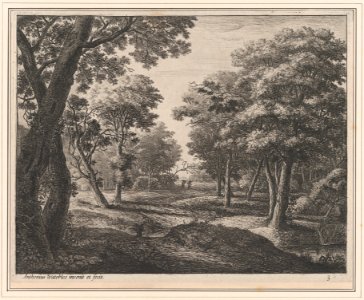 A Path Through the Woods MET DP876266