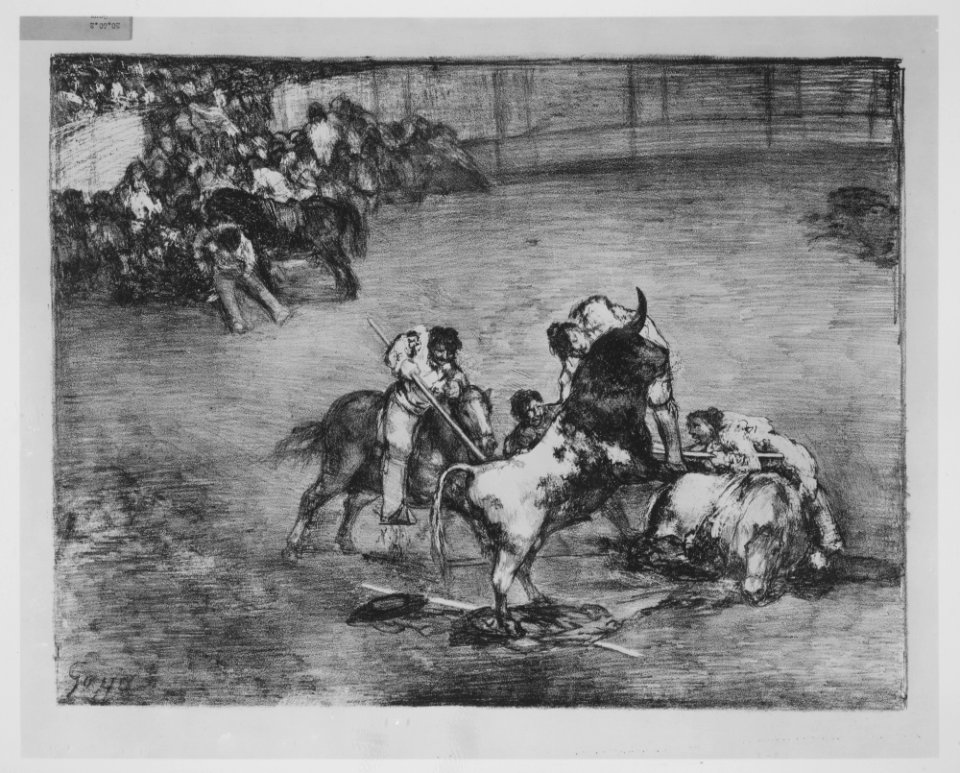 A picador caught by a bull, from the 'Bulls of Bordeaux' MET MM7175