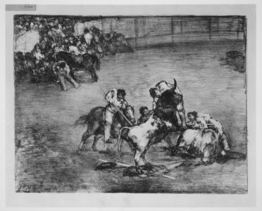 A picador caught by a bull, from the 'Bulls of Bordeaux' MET MM7175
