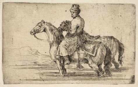 A Polish Groom Bathing Horses MET DP817529