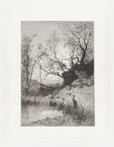 A Pond MET DP874059