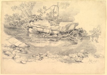 A Rocky Stream MET DP829481