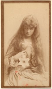 Actress with long hair seated with flower on lap, from the Actresses series (N668) MET DPB869982