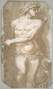 Apollo MET DP801792