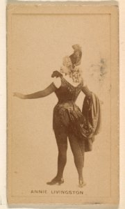Annie Livingston, from the Actresses series (N245) issued by Kinney Brothers to promote Sweet Caporal Cigarettes MET DP859000
