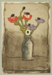Anemonies MET DP844259