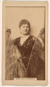 Amy Williamson, from the Actresses series (N245) issued by Kinney Brothers to promote Sweet Caporal Cigarettes MET DP859873