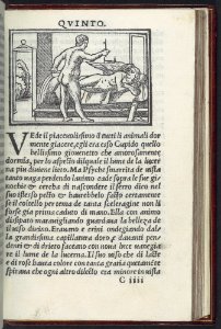 Apulegio volgare, diuiso in undeci libri, novamente stampato & in molti lochi aggiontoui che nella prima impressione gli manchaua, & de molte più figure adornato MET DP108974